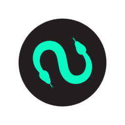 Sallar logo